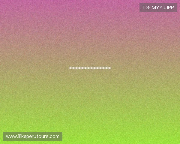 澳门棋牌地址平台安全保障措施，确保玩家资料和资金安全无忧