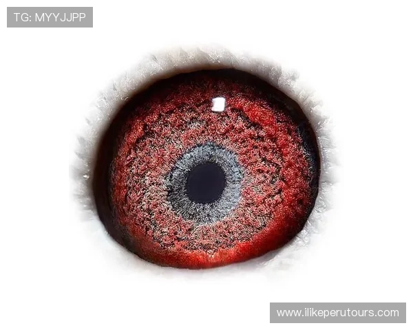 解析利来国际ag集团的品牌定位与市场推广策略