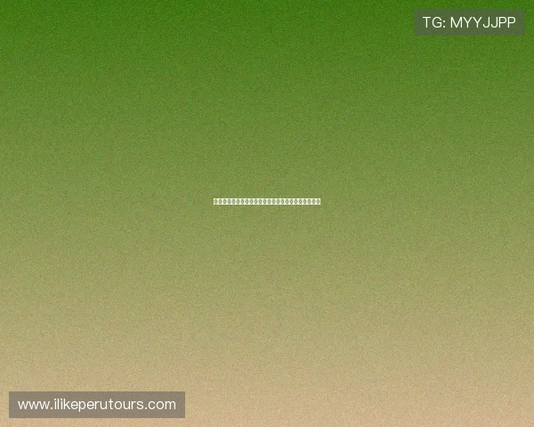比利时对阵埃及比赛球员评分详细分析与赛后表现点评